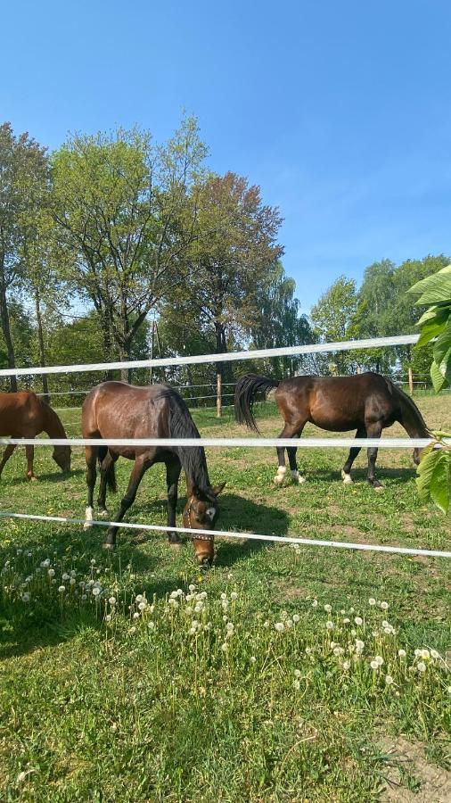 Pelnikowe Zacisze Villa Bobolice  Dış mekan fotoğraf